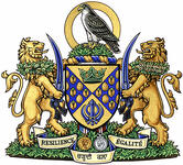 Arms of Baljit Singh Chadha