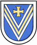 Differenced Arms for Michael Sleiman Vicente, son of Oscar Silva Vicente