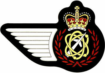 Insigne d'un technicien en systèmes avioniques de l'Aviation royale canadienne